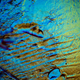Illustration for article titled 27 Bone-Chilling Photos Of Winter